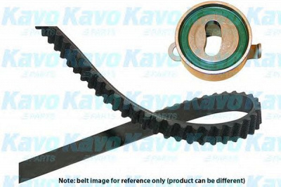 KAVO PARTS dkt2020 -  Комплект ремня ГРМ